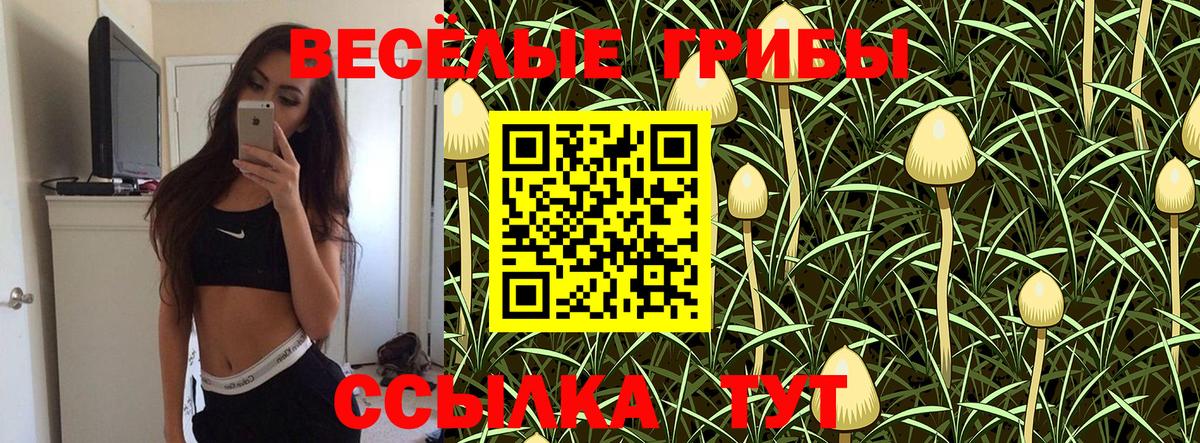 Галлюциногенные грибы прущие грибы Новотроицк