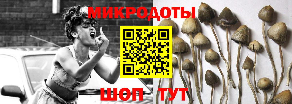 Новотроицк  Галлюциногенные грибы MAGIC MUSHROOMS  Вход с VPN  Галлюциногенные грибы Psilocybe 
